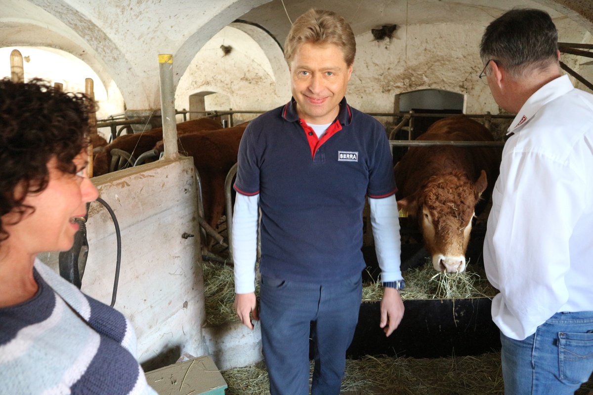 venta y consultas técnicas sobre los de aserraderos horizontales