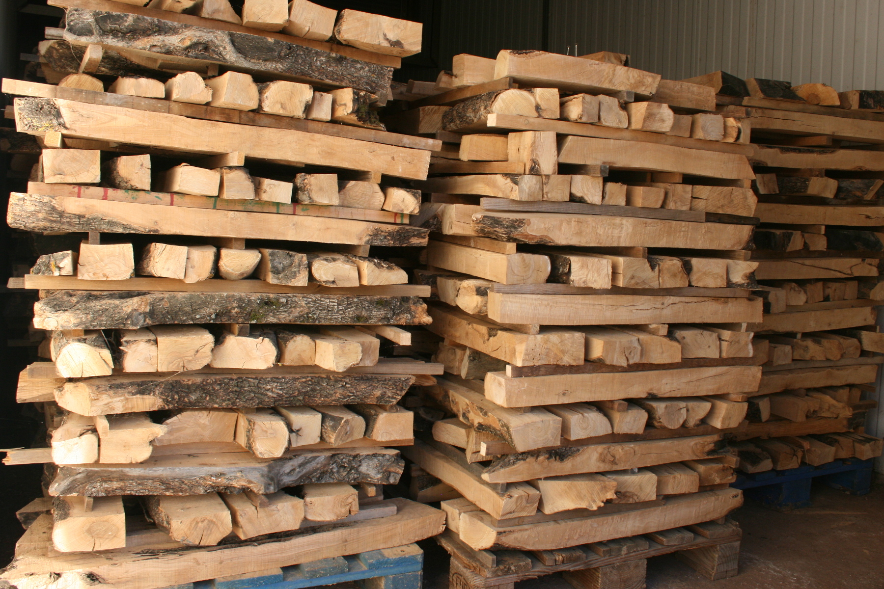 madera de olivo en el secadero industrial