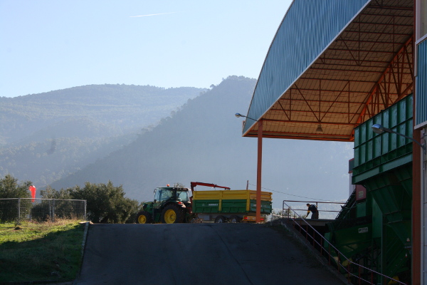 fábrica de madera de olivo