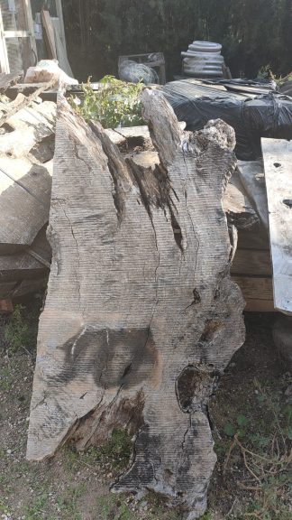 tablón de madera de olivo